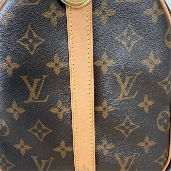 Louis Vuitton Brown Satchel - Picture 4 of 6